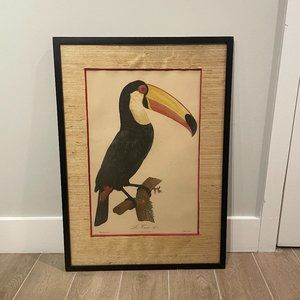 Parrot Art